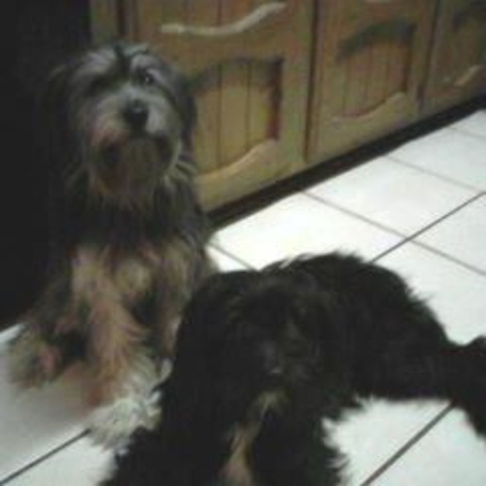 Meet your Posher, Ruthanne